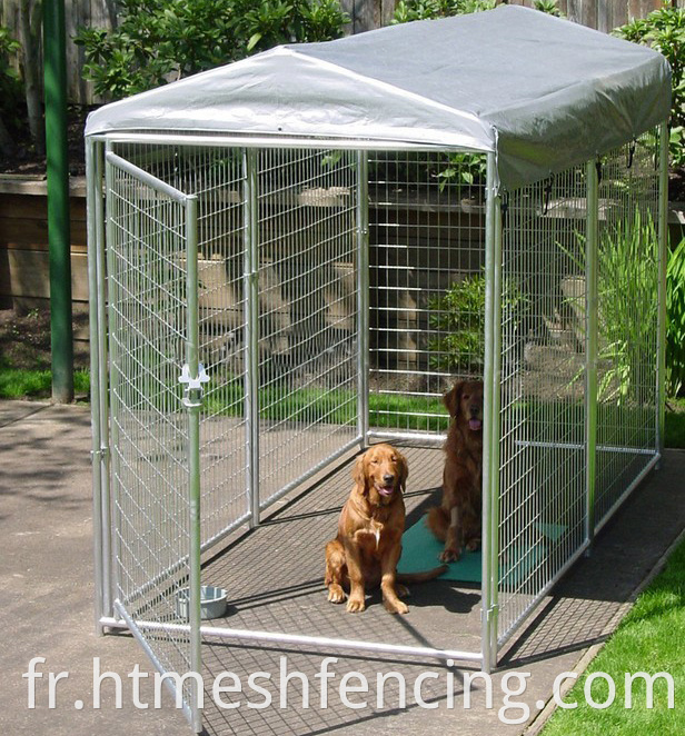 Chine Factory High Quality Grand Dut Duty Dog Kennel Dog Cage Dog Dog House